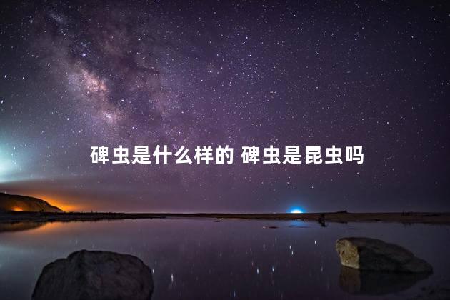 碑虫是什么样的 碑虫是昆虫吗